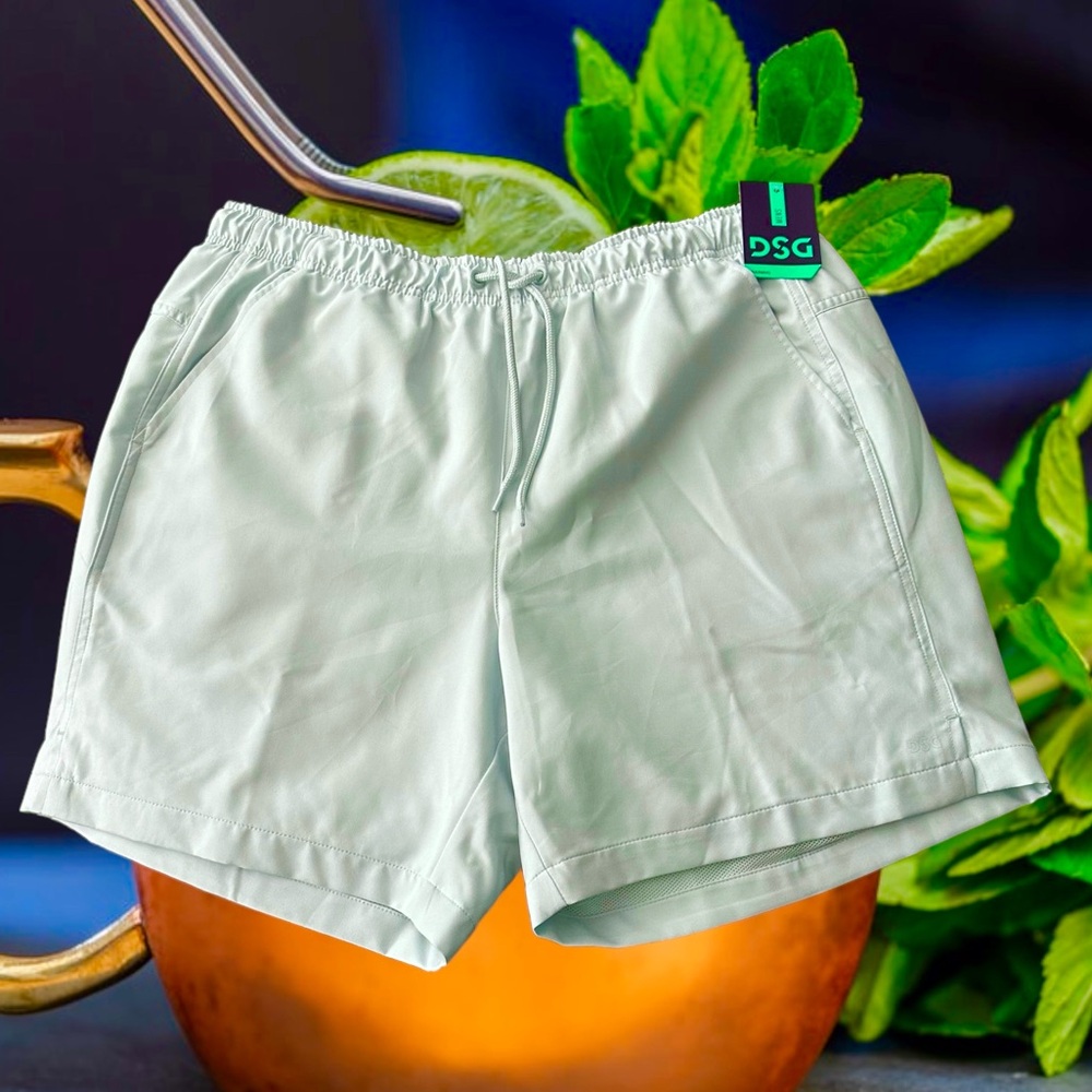 DSG men’s size large shorts light mint green
water repellent relaxed fit $32 new